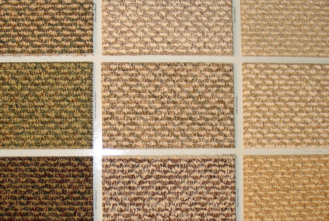 Berber Carpet: What It Is, Benefits, Types and Uses